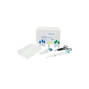 Elcometer 139 schneller kolorimetrischer Test