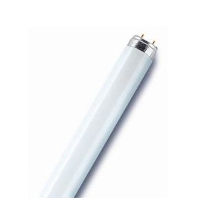 FLUO-LEUCHTE 18 W/865 - GLÜHBIRNE