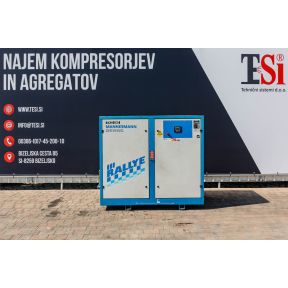 Mannesmann Demag Rallye 111 (10 bar - 9,61 m3/min)